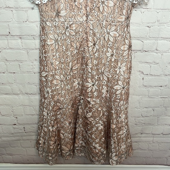 Aizhe Floral Lace Dress - Picture 7 of 13